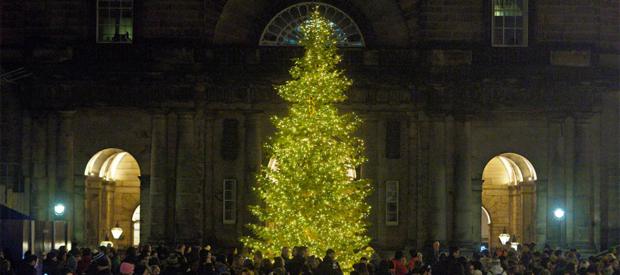 Old College Christmas tree 2017