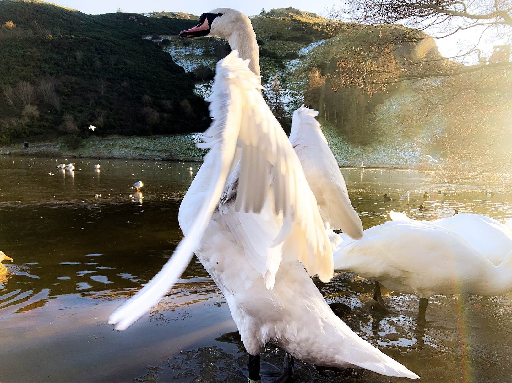 Winning photograph of the February Finance competition.